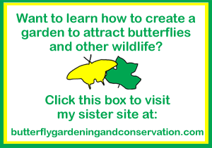 box that links to my site about how to create a butterfly garden.